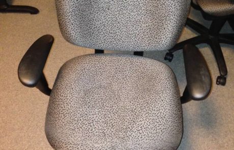 Animal print office chair now on sale at iSpace Office
